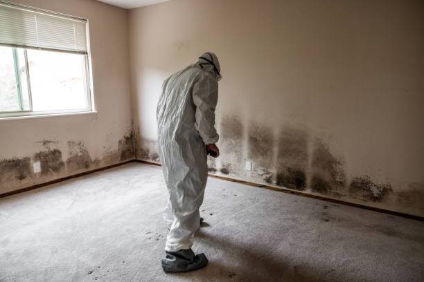 Best Residential Mold Inspection & Testing  in Munster, IN